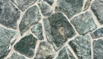 Rock Face Forest