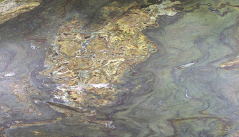 Tanoti