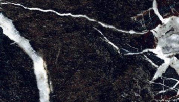Vein Black