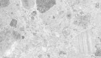 ITT Amsterdam Grey Polished 120×60