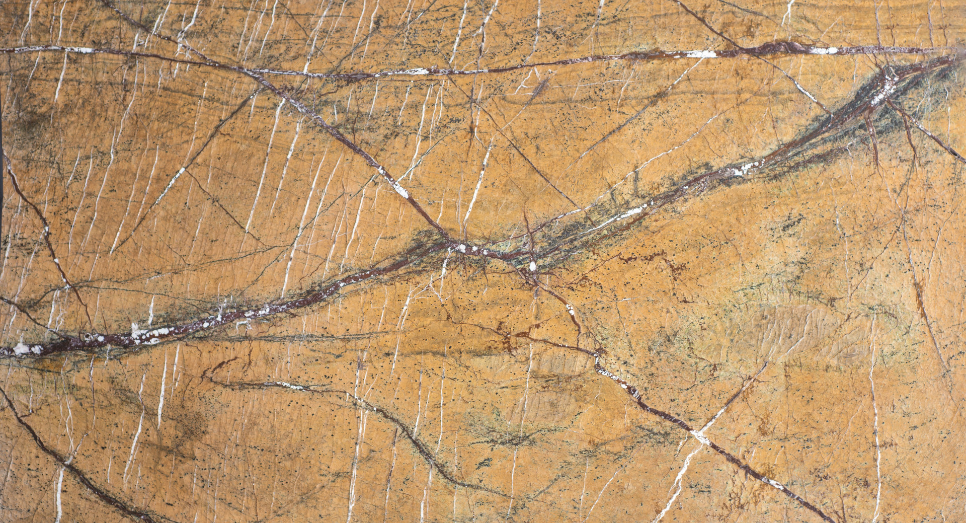 Rain Forest Gold