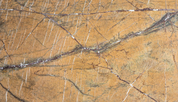 Rain Forest Gold Antique