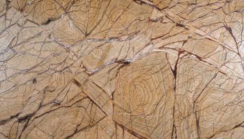 Rain Forest Gold Antique