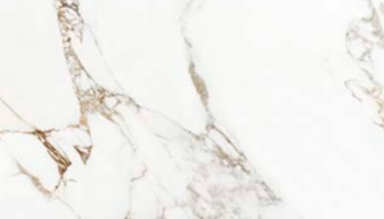 ProConcept - CALACATTA ANTIQUE 120x120 POLISHED