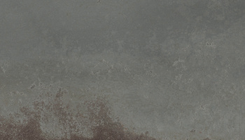 Galio Gris