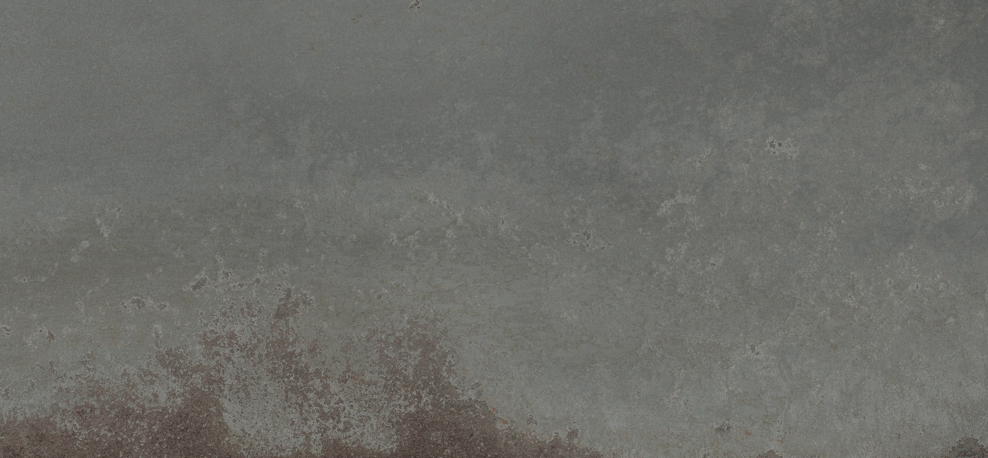 Galio Gris
