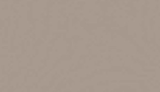 City Taupe